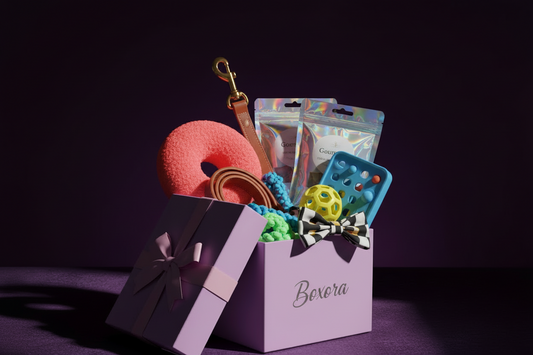 Caja sorpresa lila para mascotas con juguetes y accesorios para perros y gatos